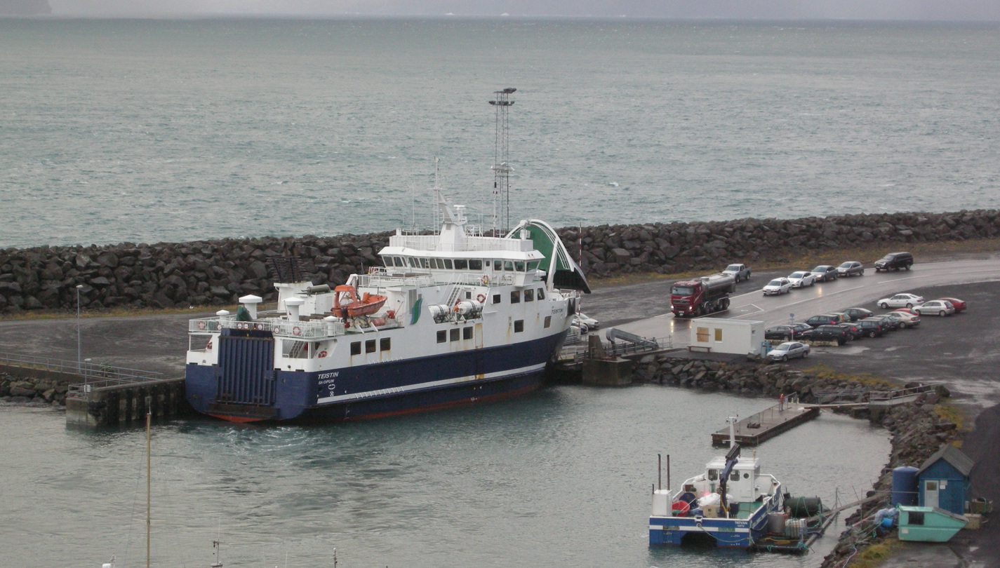 Teistin á Golmurætt fjart.JPG