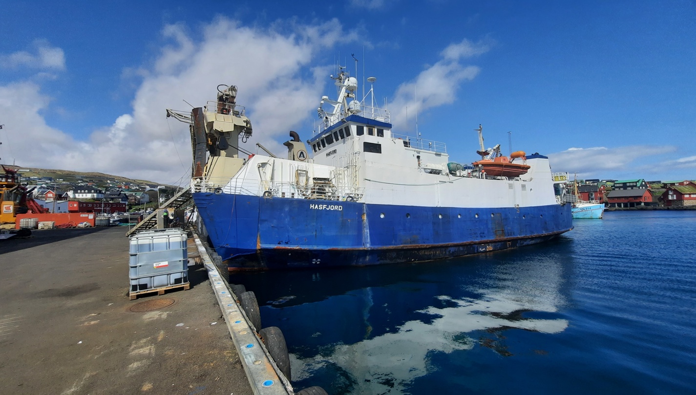 Hasfjord